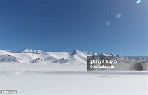 11,706 Images Of The Tundra Biome Stock Photos, High-Res Pictures, and Images - Getty Images