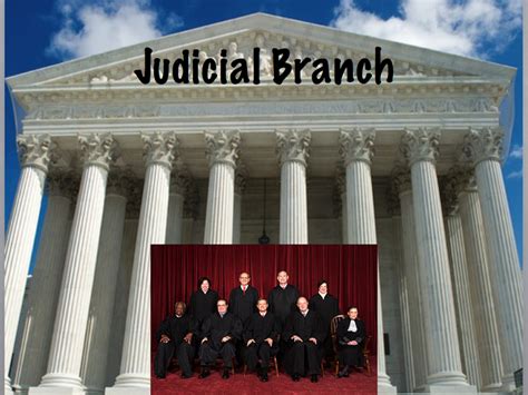 The U.S. Judicial Branch | Curious.com