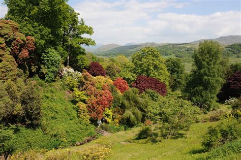 Ravenglass - Muncaster Castle and Gardens - the Gardens - Visit Cumbria