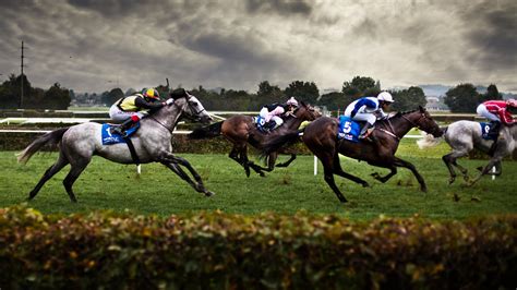 Dynamic Horse Racing in Stunning 4K Ultra HD Wallpaper