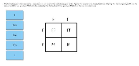 Heterozygous Punnett Square