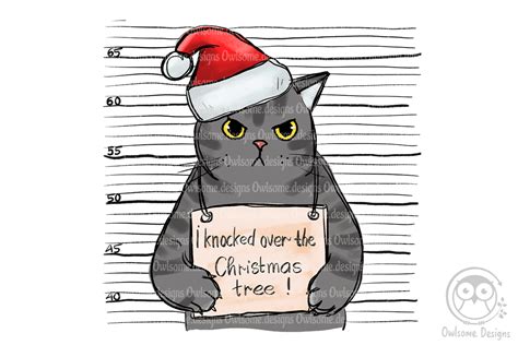 Funny Christmas Cats