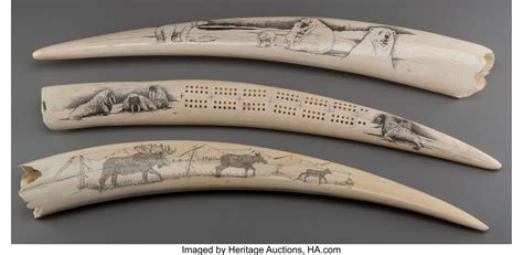 Three Contemporary Eskimo Etched Walrus Ivory Tusks... (Total: 3 | Lot #70644 | Heritage Auctions