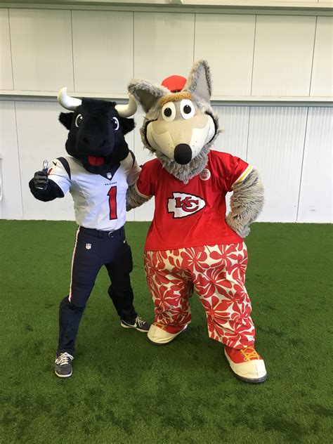 UNMASKING TORO: Meet the person behind the Texans mascot - ABC13 Houston