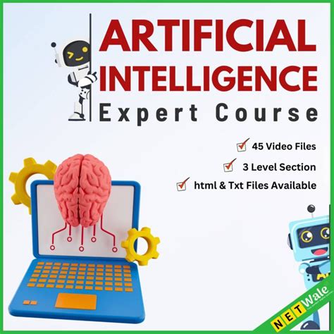 Artificial Intelligence Expert Course - Netwale.com