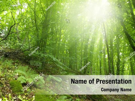 Forest Powerpoint Template