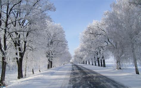 Winter and Snow Wallpaper Free Download