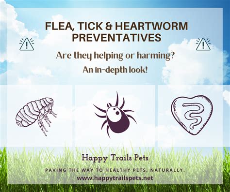 Flea, Tick & Heartworm Preventatives; Are they Helping or Harming? An in-depth look!