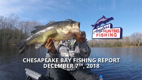 Chesapeake Bay Fishing Report - December 7th, 2018