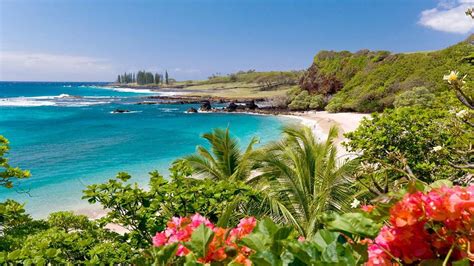 5 Things To Do on Maui - Hawaii Vacations - Hannah Cote - Travel Agent