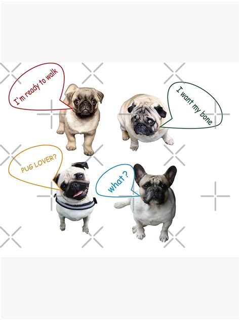 "Dogs Lovers-Funny Pug Dogs Memes Collection" Poster for Sale by elegantzone99 | Redbubble