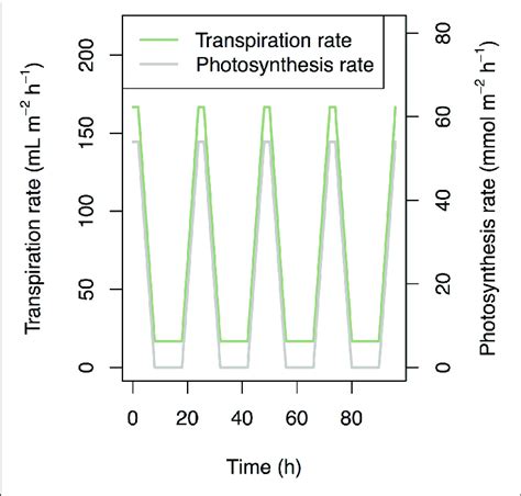 | Time series of transpiration rate and photosynthesis rate that was... | Download Scientific ...