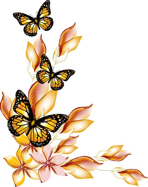 Floral Border Png Butterfly Elegant Border Design Bla - vrogue.co