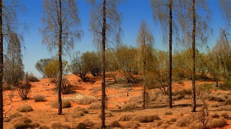 Uluru Outback Australia - Free photo on Pixabay - Pixabay