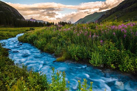 nature, Landscape, River, Trees, Forest, Clouds, Hill, Long Exposure, Colorado, USA, Flowers ...