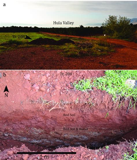 Trench 208. a) Location of the trench looking south; b) trench profile. | Download Scientific ...