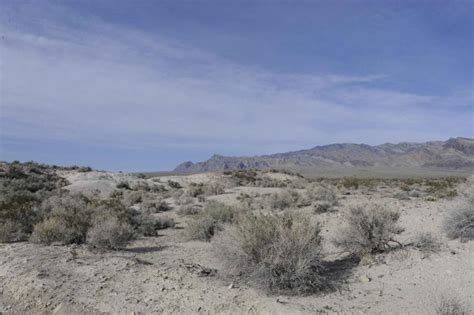 Free picture: desert, scrub, habitat