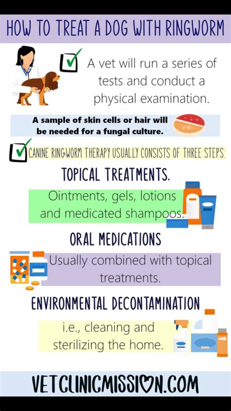 How to Treat a dog with Ringworm - Mission Veterinary Hospital