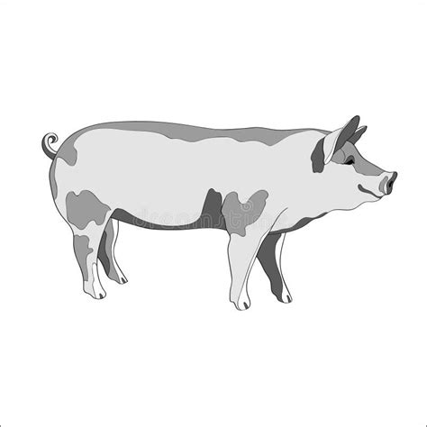 Pig Head Side View Stock Illustrations – 194 Pig Head Side View Stock Illustrations, Vectors ...