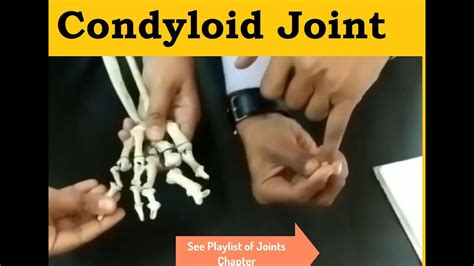 Condyloid Joint