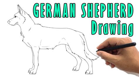 How To Draw A German Shepherd Face Easy - Draw-humdinger