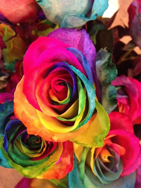 gousicteco: Neon Rainbow Roses Wallpaper Images