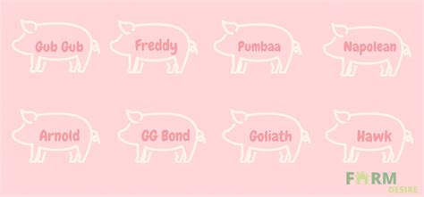 141+ Pet Pig Names for Your Cute Piglet | Farming Base