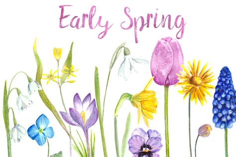 Watercolor Early Spring Flowers Clip Art Set (243759) | Illustrations | Design Bundles