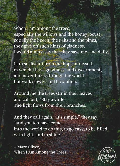 mary oliver quotes on nature - Sana Rushing