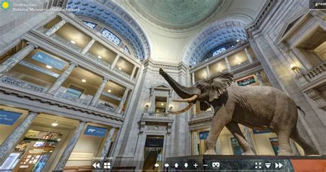 Virtual tours of famous museums around the world