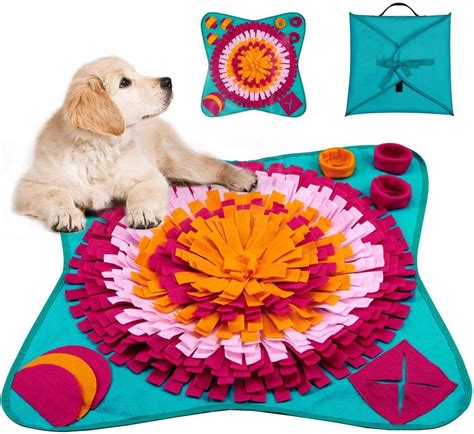 16 Dog Puzzle Toys For Your Clever Pooch | Dog Furiendly