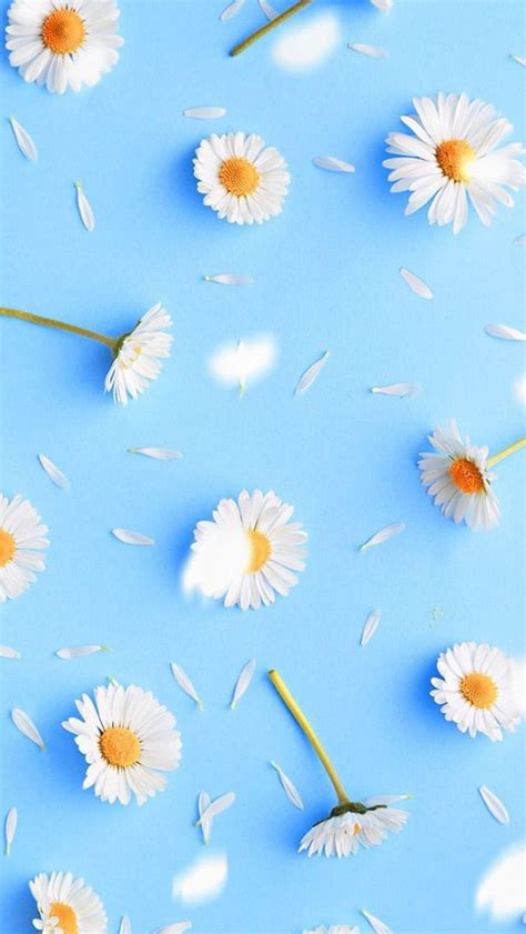 🔥 [30+] Cute Blue Floral iPhone Wallpapers | WallpaperSafari