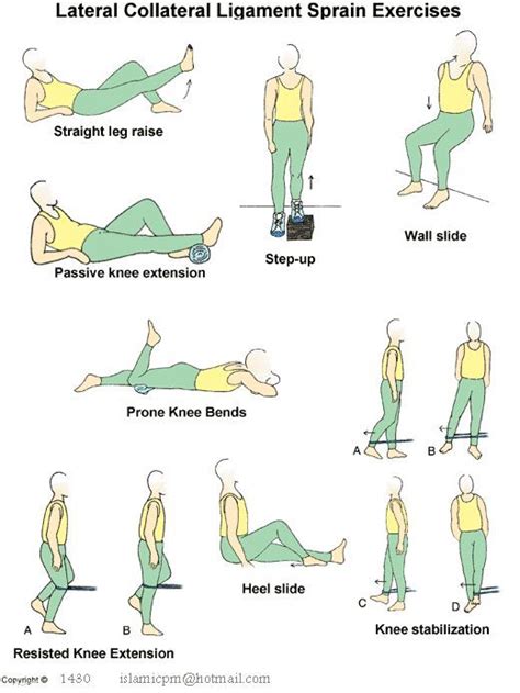 meniscus tear exercises pdf spanish - Edwina Schulte