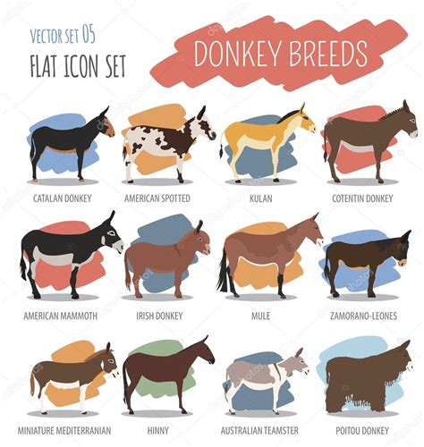 Donkey breeds icon set. Animal farming. Flat design — Stock Vector © A7880S #127818716