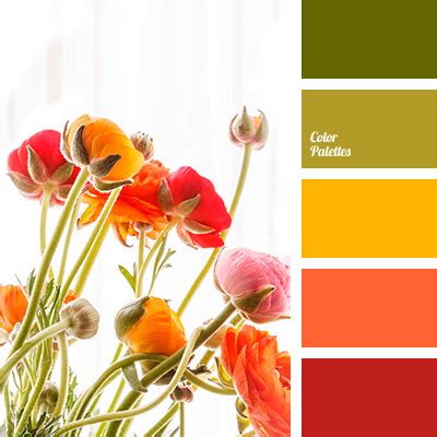 red-orange | Color Palette Ideas