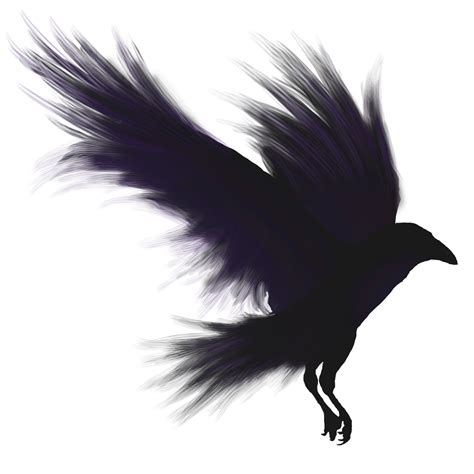 Transparent Background Flying Crow Png Clip Art Library | Images and Photos finder