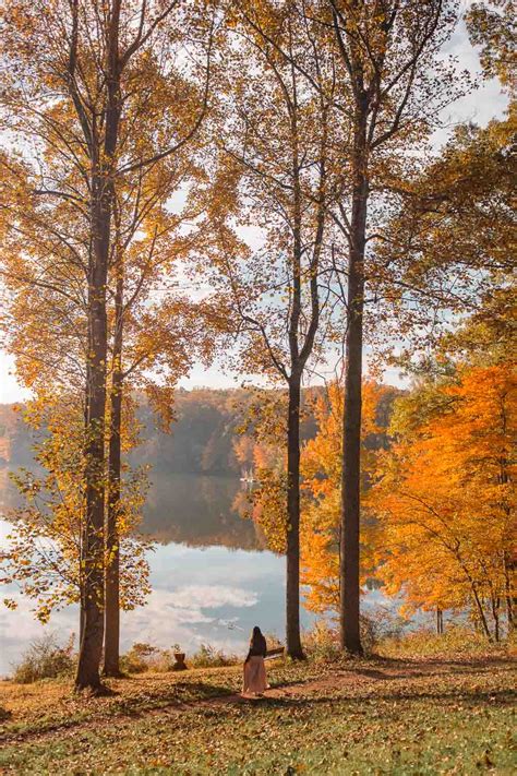 Fall Foliage Maryland 2020 The Ultimate Guide for Fall Color