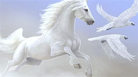 White Horse Wallpaper (68+ images)