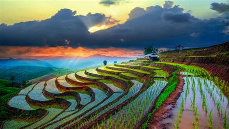 10 mesmerising pictures of ancient rice paddies | Escapism Magazine