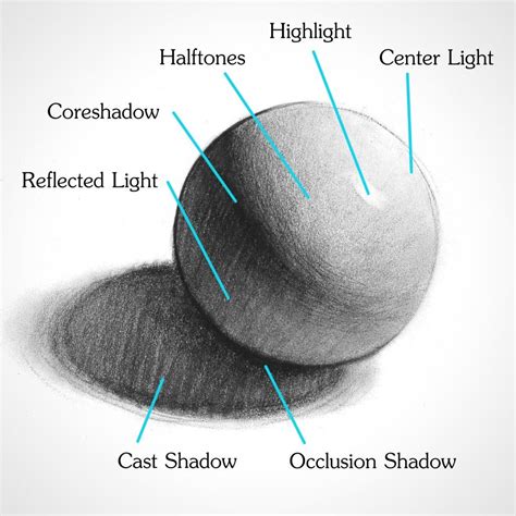 How to Shade a Drawing | How to shade, Shading drawing, Basic drawing