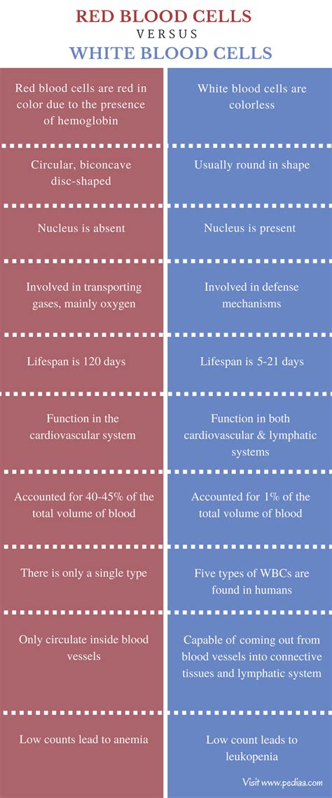 Difference Between Red Blood Cells and White Blood Cells | Characteristics, Structure, Function