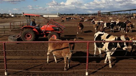 Fresno State Campus News | Schedule a farm tour