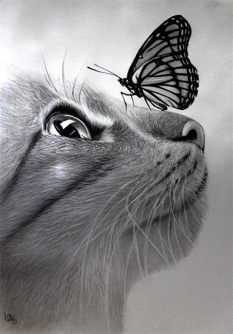 Color pencil drawing ideas animals - veryled