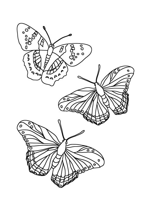 Butterfly Coloring Pages