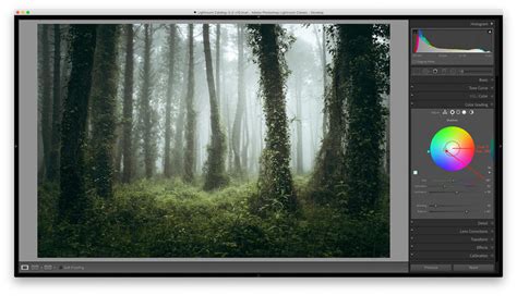 How to Use the Color Grading Tool in Lightroom - CaptureLandscapes