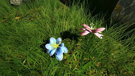 Where to Find Rare Flowers in Fjordur Map: ARK Survival Evolved - Touch, Tap, Play