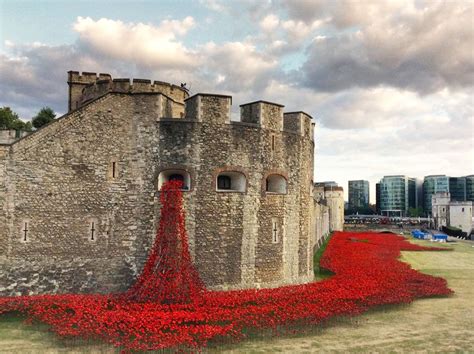 888,246 Poppies At Tower Of London Commemorate Each British And Colonial Casualty From WWI ...