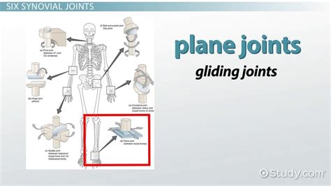 Plane Joint Examples In Daily Life