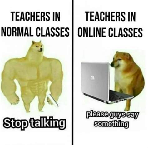 50+ Funny Online School Memes That Every Student Can Relate To