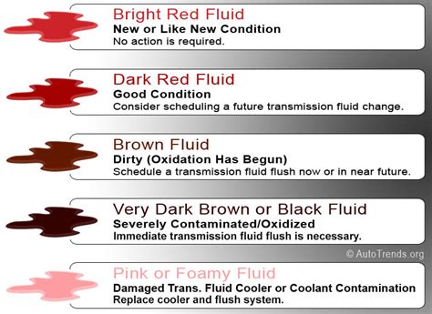 Transmission Fluid Color Guide (with Chart) | UTI